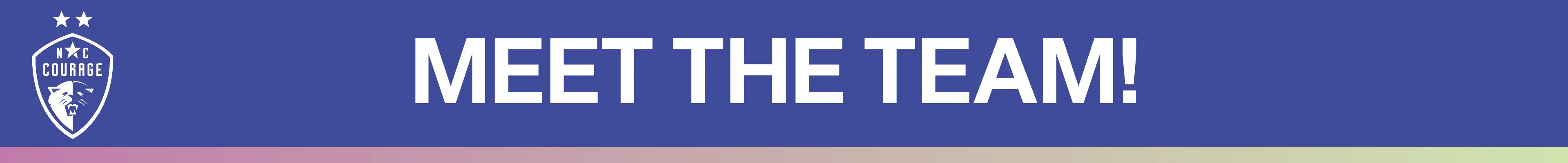 Meet the Team Banner