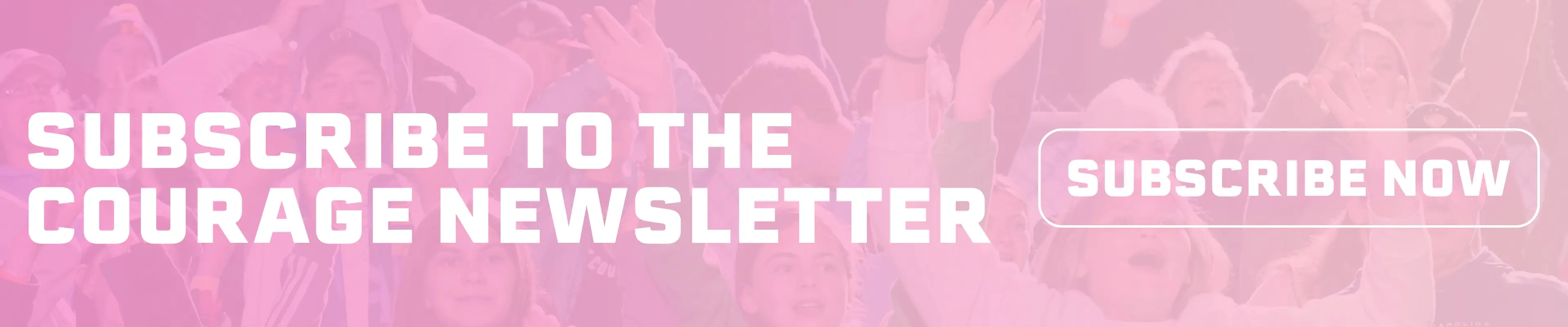 Subscribe to the Newsletter